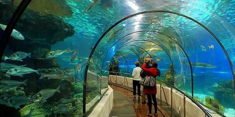 Aquarium Tour from Side: Dive into Antalya’s Underwater Wonders with Side Tours