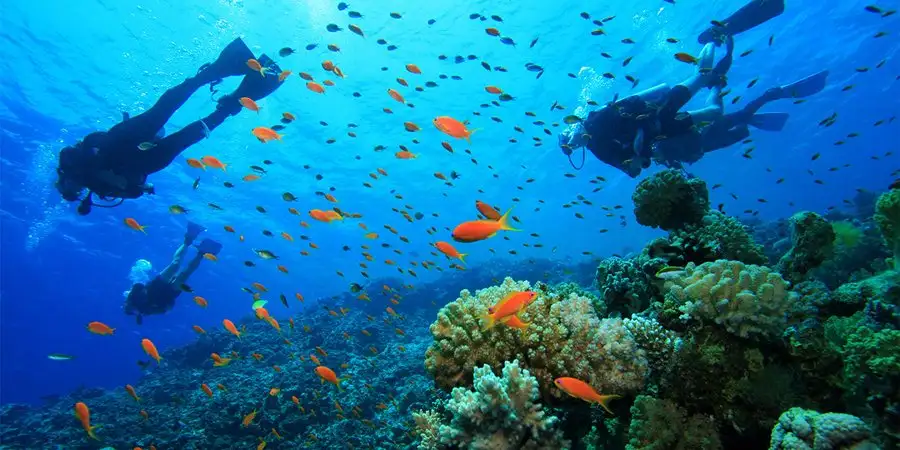 Scuba Diving in Side: Top Side Tours