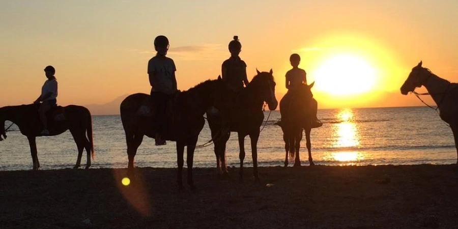 Side VIP Horse Riding – The Best Horseback Riding Experience in Side