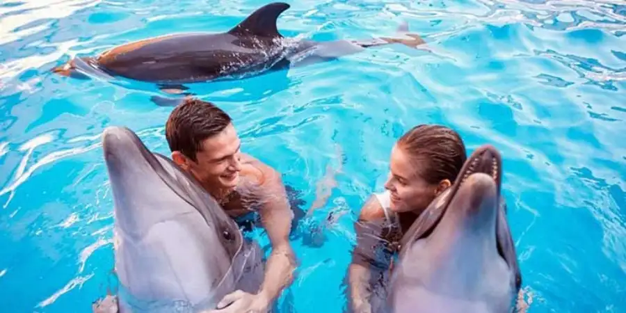Kemer Swimming with Dolphins Tour: A Magical Adventure at Aksu Dolphinarium